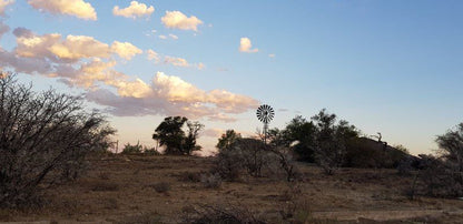 Witkrans Lodge Middelburg Eastern Cape Eastern Cape South Africa Cactus, Plant, Nature, Hot Air Balloon, Vehicle, Sky, Desert, Sand, Lowland