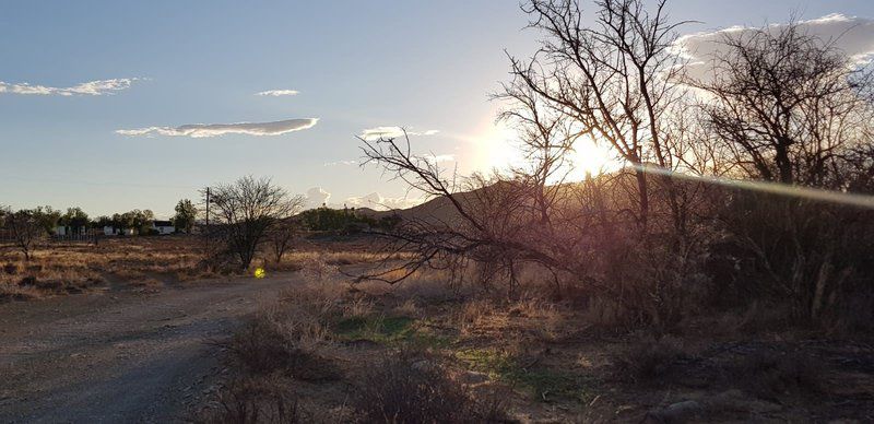 Witkrans Lodge Middelburg Eastern Cape Eastern Cape South Africa Cactus, Plant, Nature, Sunset, Sky