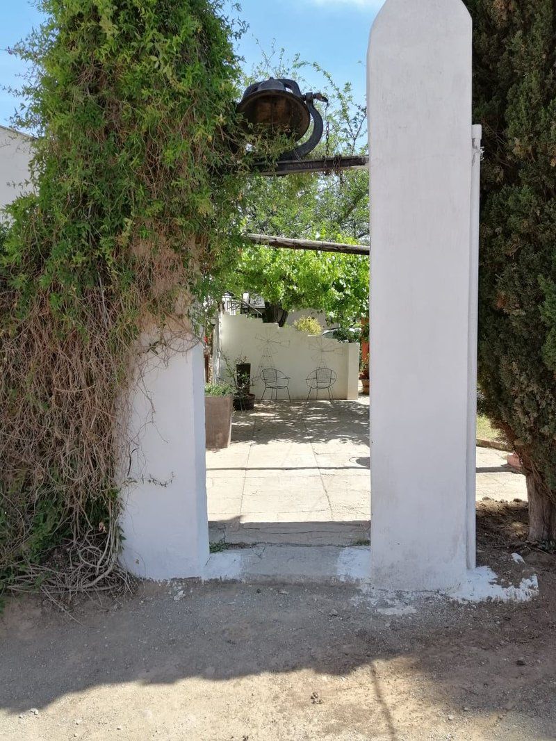 Witkrans Lodge Middelburg Eastern Cape Eastern Cape South Africa Palm Tree, Plant, Nature, Wood, Ruin, Architecture