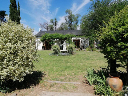 Witkrans Lodge Middelburg Eastern Cape Eastern Cape South Africa House, Building, Architecture, Plant, Nature