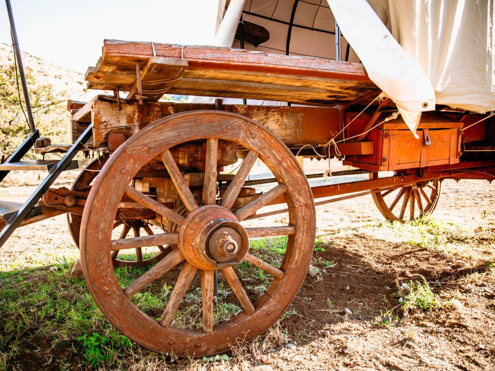 Witmos Oxwagon Camp Somerset East Eastern Cape South Africa Vehicle