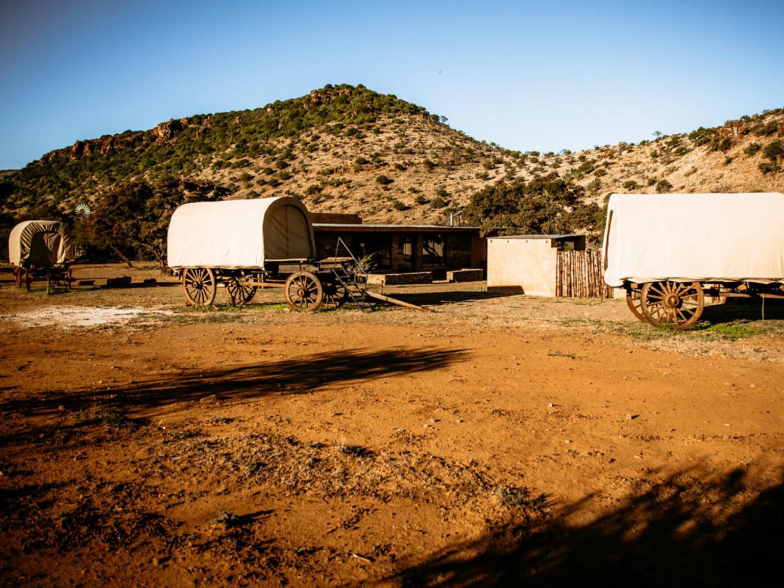 Witmos Oxwagon Camp Somerset East Eastern Cape South Africa Complementary Colors, Colorful, Desert, Nature, Sand