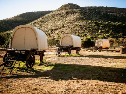 Witmos Oxwagon Camp Somerset East Eastern Cape South Africa Tent, Architecture