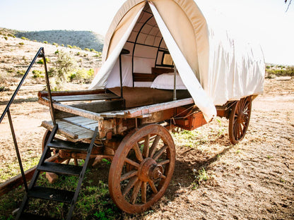 Witmos Oxwagon Camp Somerset East Eastern Cape South Africa Vehicle