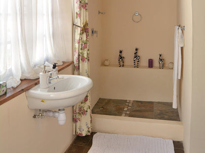 Wittedrift Manor House Tulbagh Western Cape South Africa Bathroom