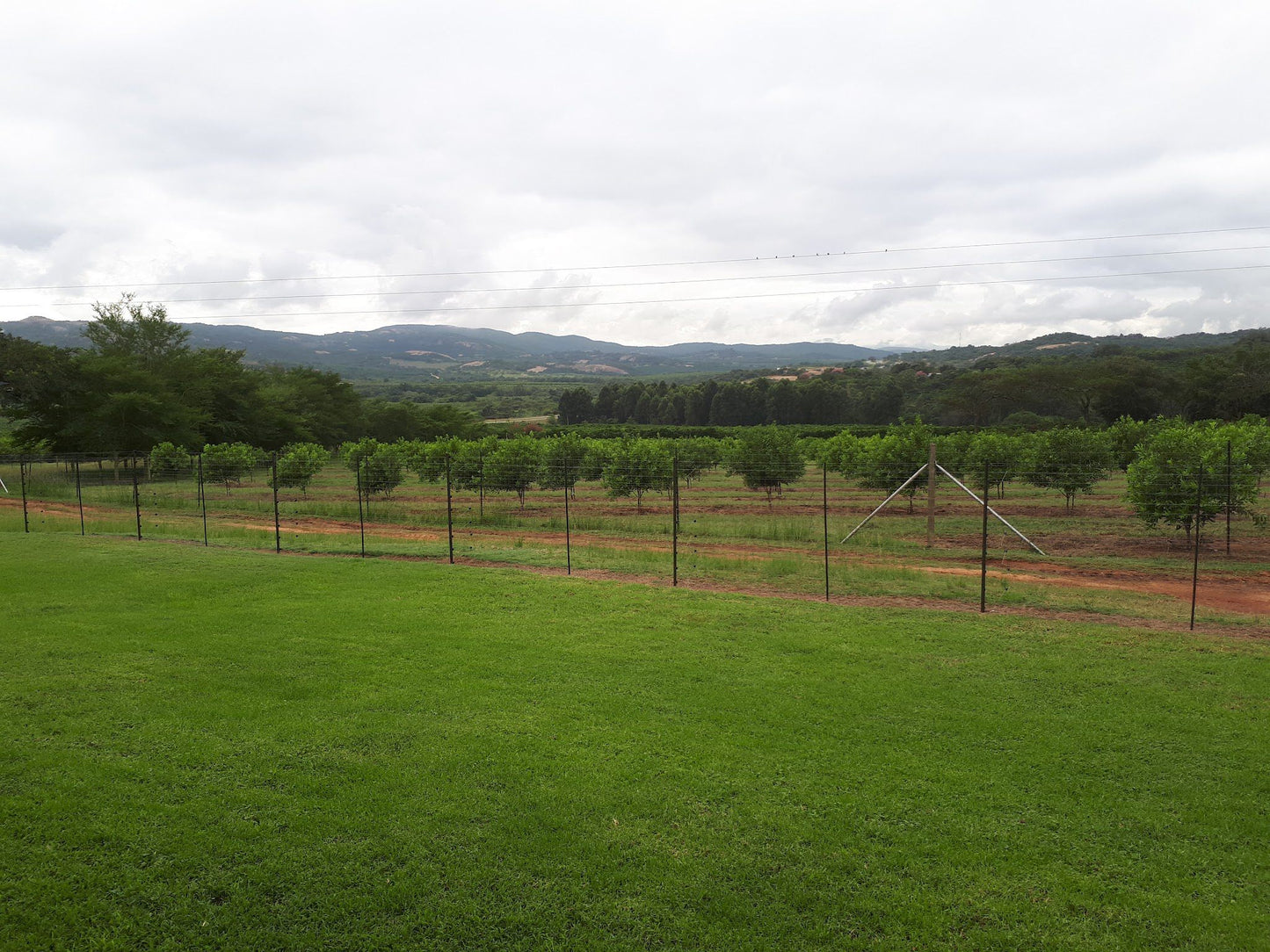 Wokini Guest House And Game Farm Nelspruit Mpumalanga South Africa Field, Nature, Agriculture, Highland