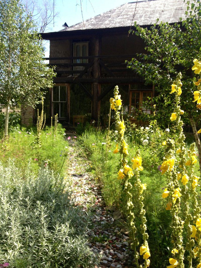 Wol En Velle Guest House Tweeling Free State South Africa Cabin, Building, Architecture, Flower, Plant, Nature, Garden