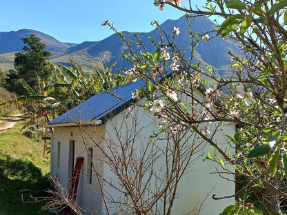 Wolfkloof Boerdery Swellendam Western Cape South Africa Complementary Colors, Mountain, Nature