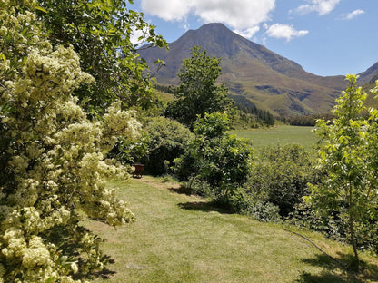 Wolfkloof Boerdery Swellendam Western Cape South Africa Mountain, Nature, Plant, Garden, Highland