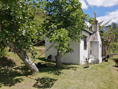 Wolfkloof Boerdery Swellendam Western Cape South Africa Building, Architecture