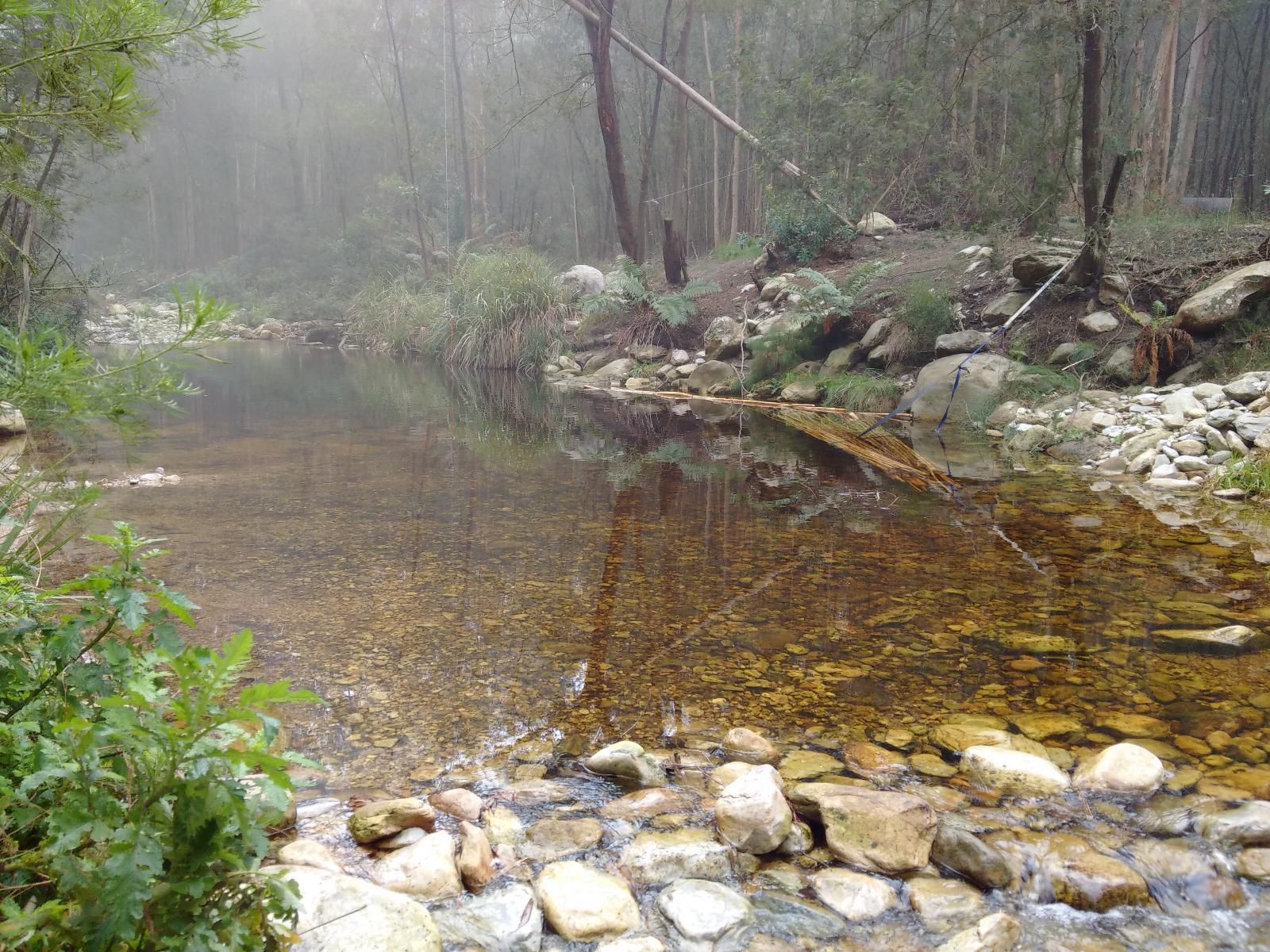 Wolfkloof Boerdery Swellendam Western Cape South Africa Forest, Nature, Plant, Tree, Wood, River, Waters, Waterfall