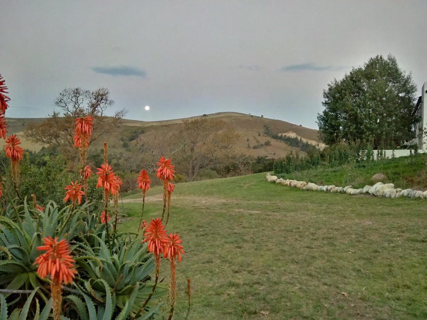 Wolfkloof Boerdery Swellendam Western Cape South Africa Meadow, Nature