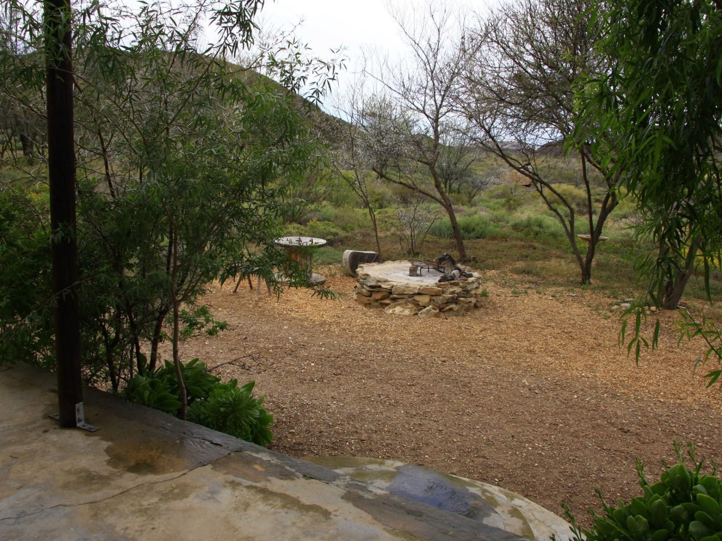 Wolverfontein Karoo Cottages Ladismith Western Cape South Africa Plant, Nature