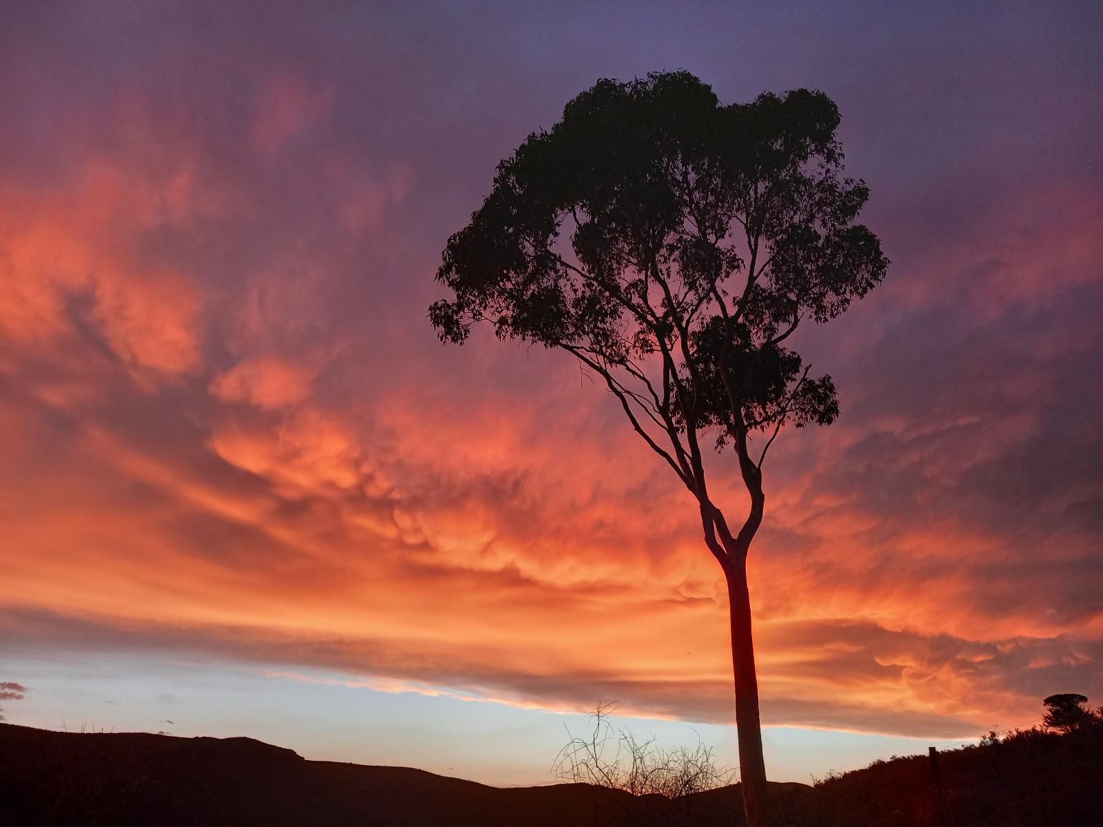 Wolverfontein Karoo Cottages Ladismith Western Cape South Africa Sky, Nature, Sunset