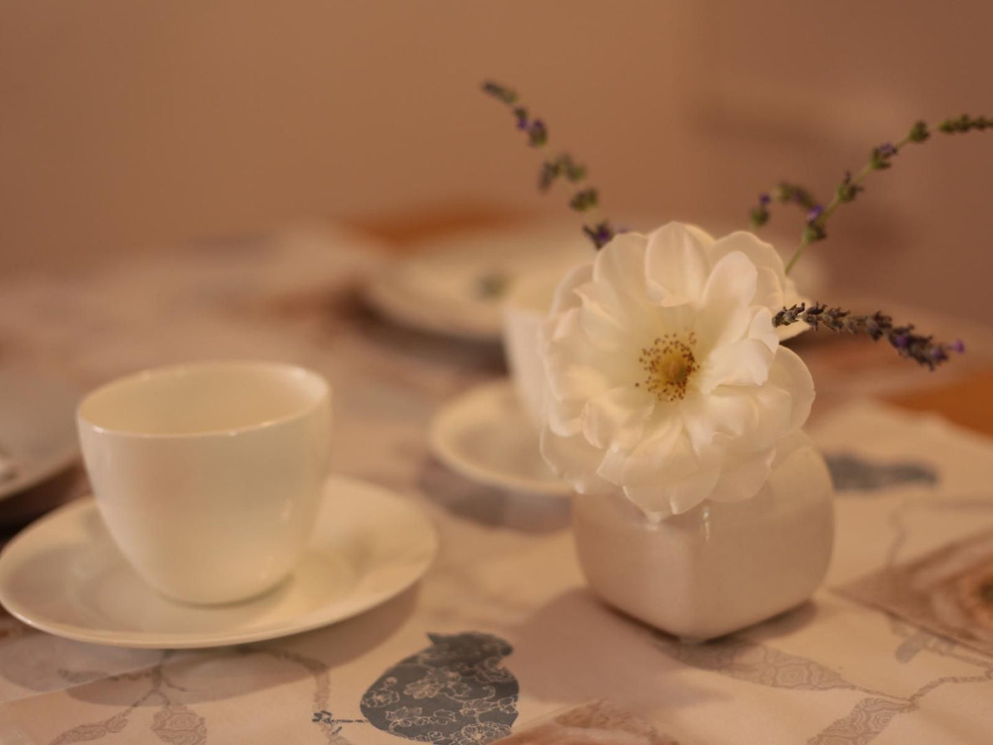 Wolwedans Guest Manor Great Brak River Western Cape South Africa Sepia Tones, Cup, Drinking Accessoire, Drink, Flower, Plant, Nature, Place Cover, Food