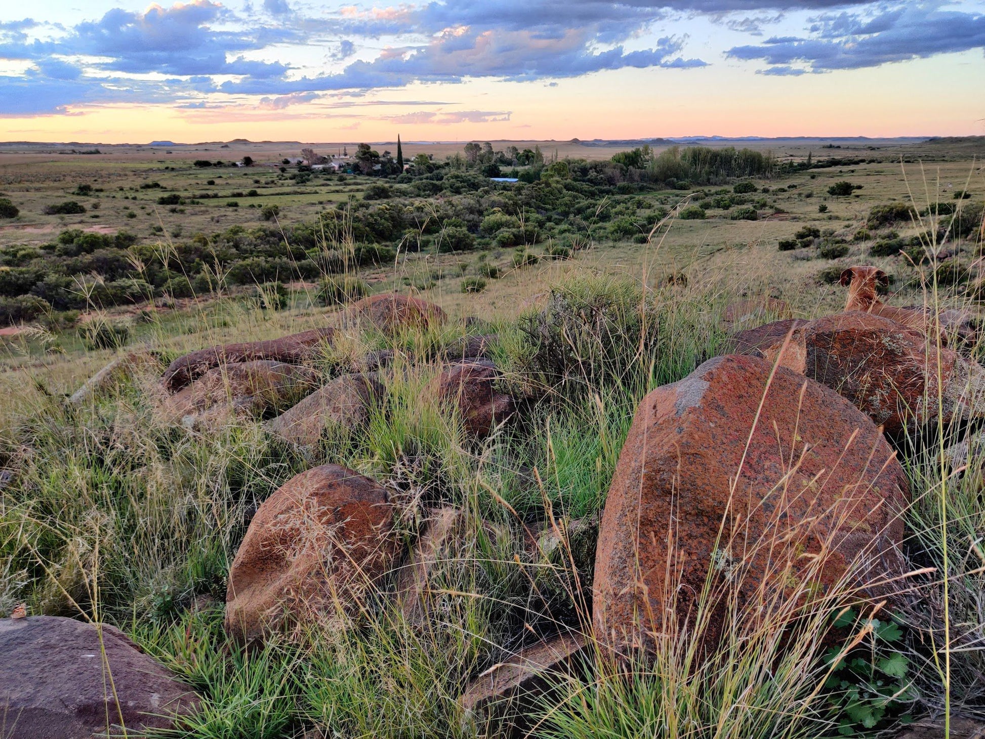 Wolwefontein Lodge Colesberg Northern Cape South Africa Lowland, Nature