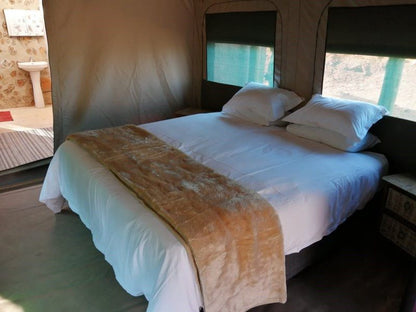 Wolwekrans Eco Lodge Schoemanskloof Mpumalanga South Africa 