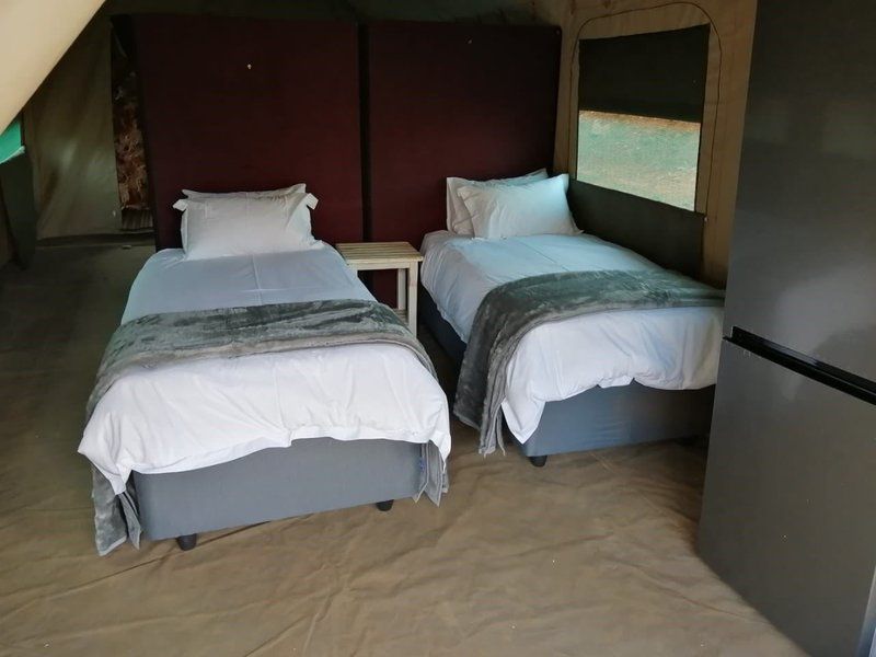 Wolwekrans Eco Lodge Schoemanskloof Mpumalanga South Africa Bedroom