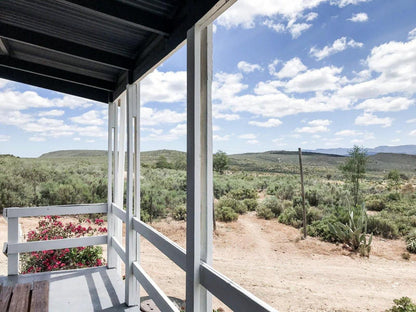 Wonder Farm Stay Montagu Western Cape South Africa Cactus, Plant, Nature, Framing