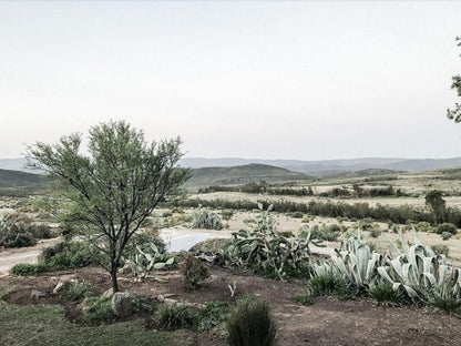 Wonder Farm Stay Montagu Western Cape South Africa Unsaturated, Nature