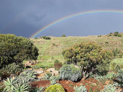 Wonder Waters Tonteldoos Tonteldoos Limpopo Province South Africa Rainbow, Nature
