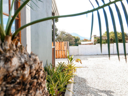 Wood-Ii Guest House, Palm Tree, Plant, Nature, Wood