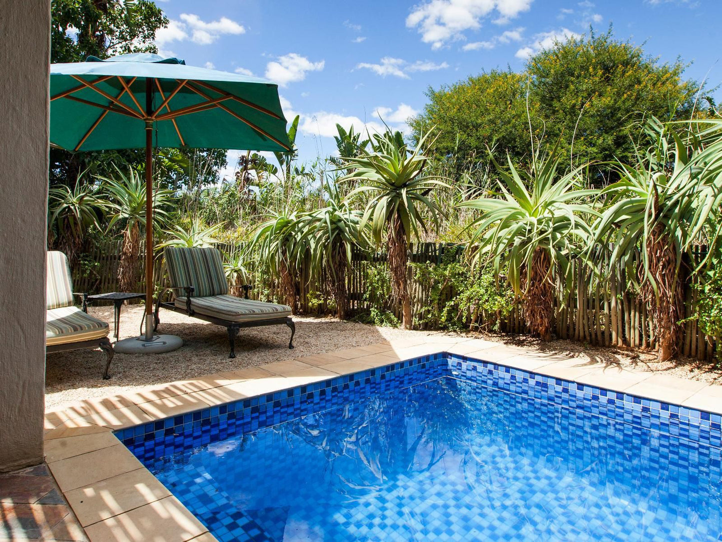 Woodall Country House And Spa Addo Village Eastern Cape South Africa Complementary Colors, Palm Tree, Plant, Nature, Wood, Garden, Swimming Pool