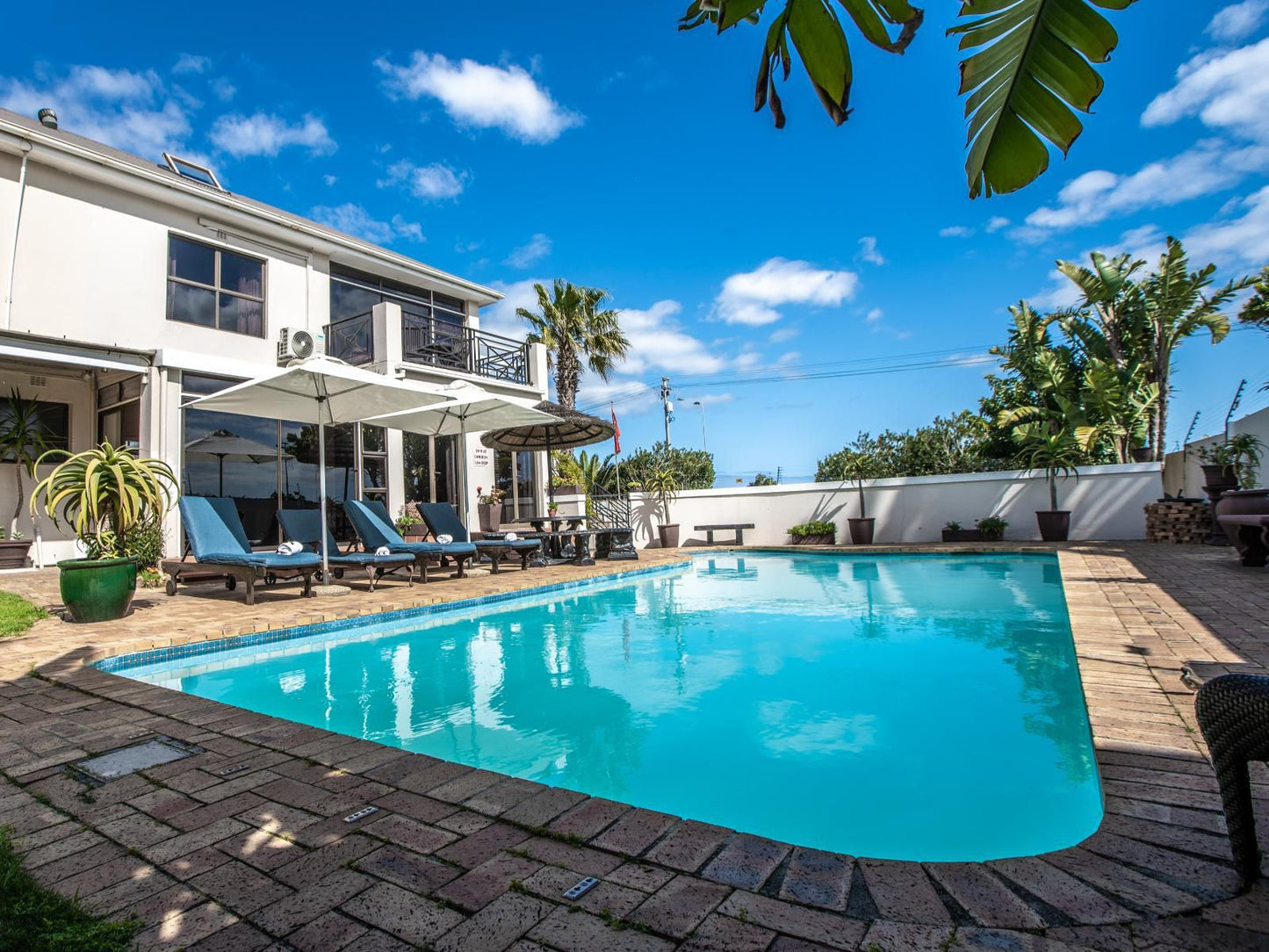 Woodbridge Lodge Milnerton Cape Town Western Cape South Africa House, Building, Architecture, Palm Tree, Plant, Nature, Wood, Swimming Pool