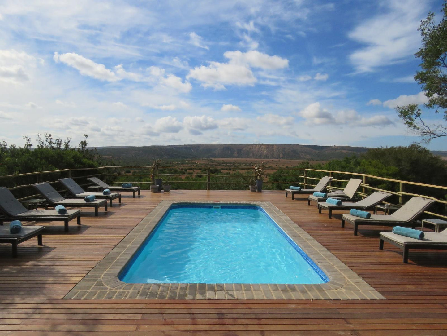 Woodbury Lodge Sidbury Paterson Eastern Cape South Africa Swimming Pool