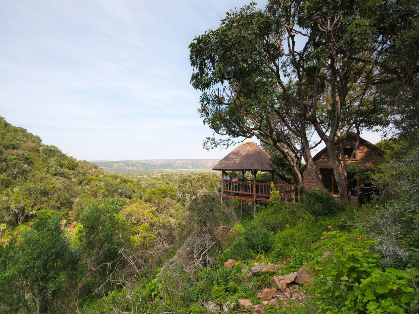 Woodbury Lodge Sidbury Paterson Eastern Cape South Africa 