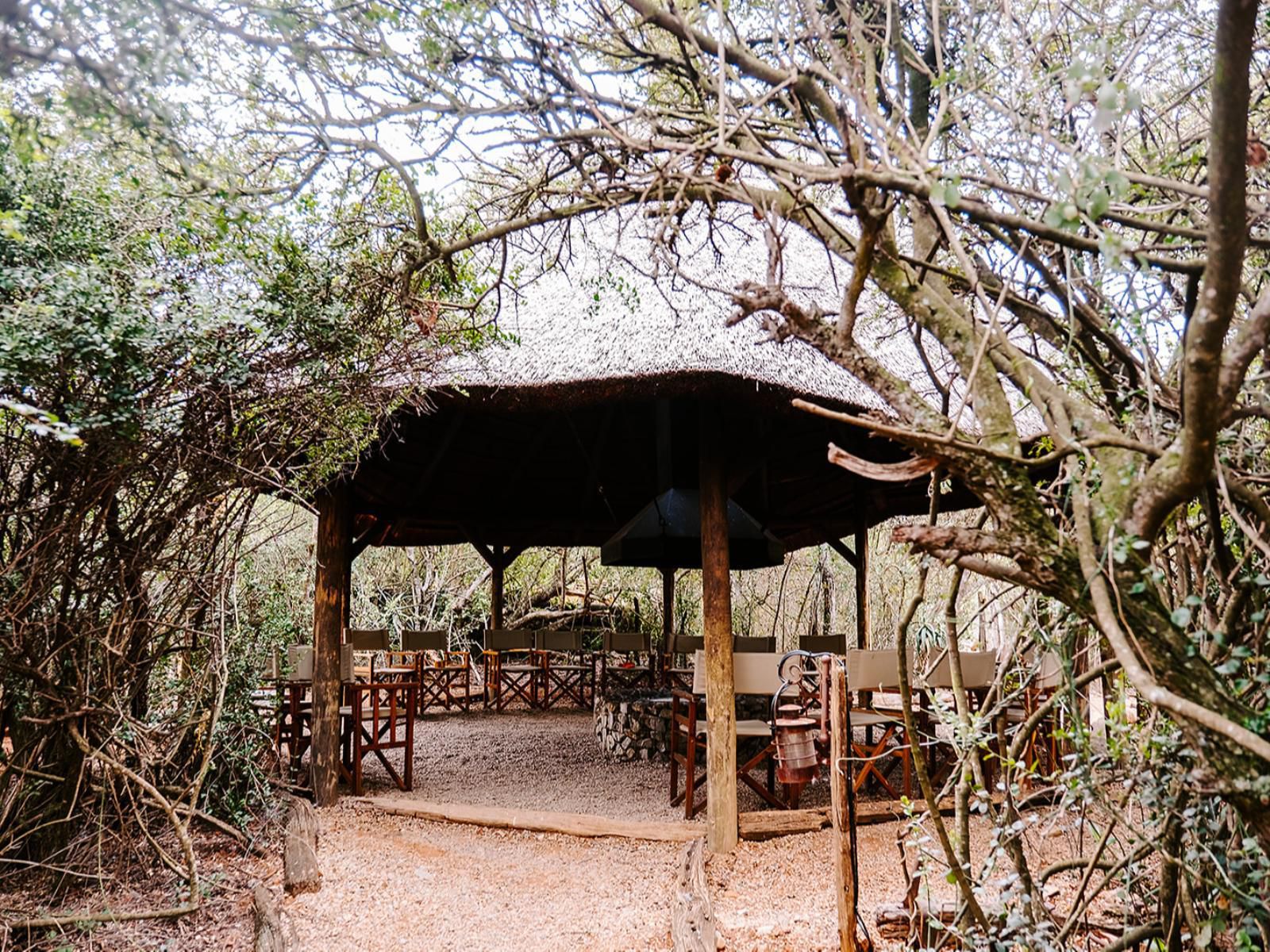 Woodbury Tented Camp Amakhala Game Reserve Eastern Cape South Africa 