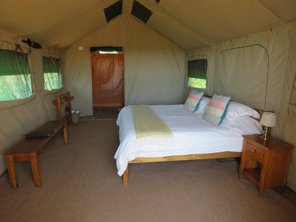 Woodbury Tented Camp Amakhala Game Reserve Eastern Cape South Africa Tent, Architecture, Bedroom