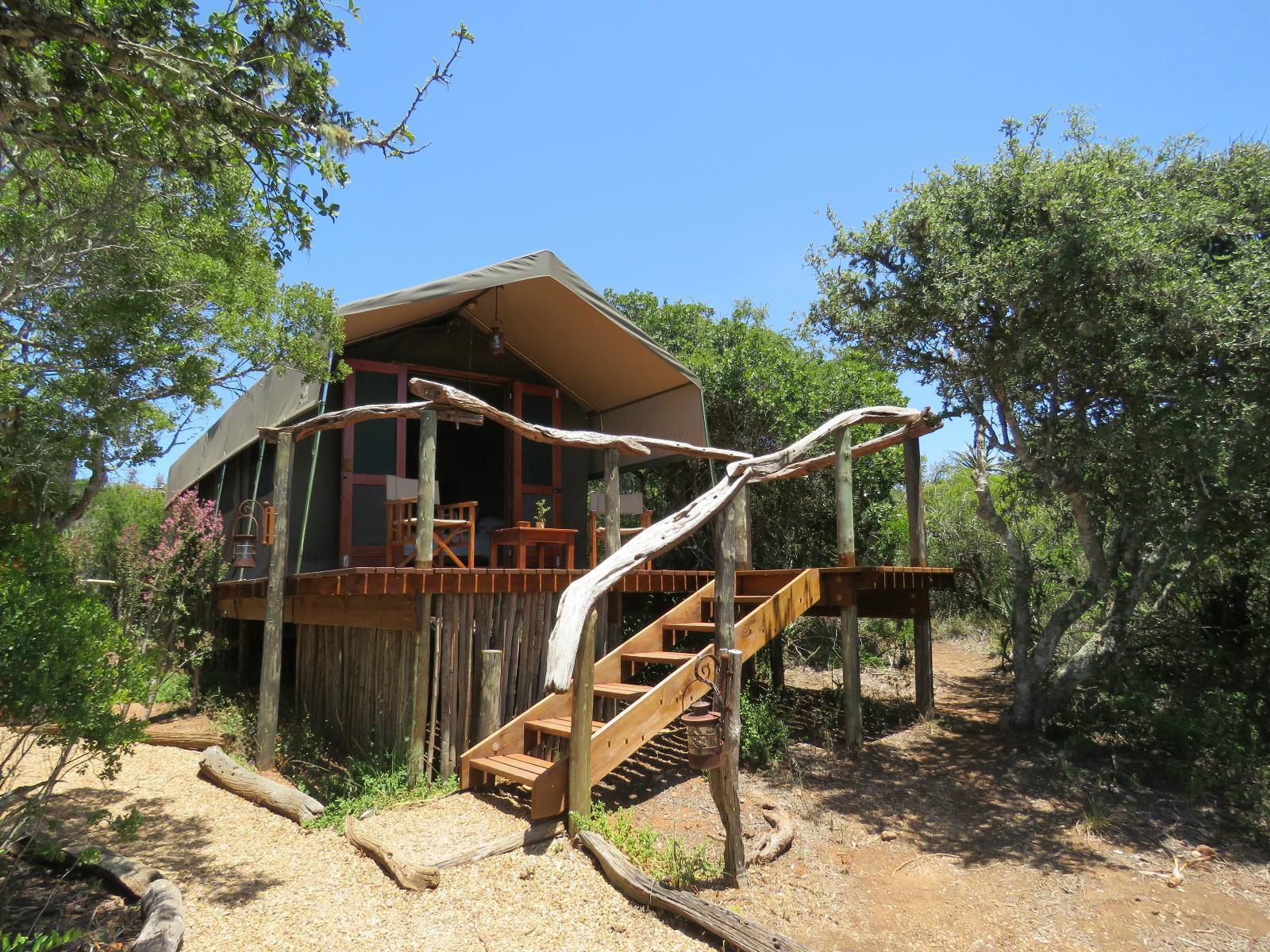 Woodbury Tented Camp Amakhala Game Reserve Eastern Cape South Africa Complementary Colors