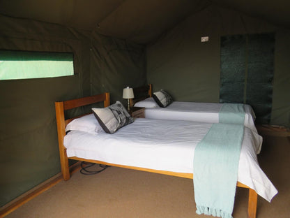 Woodbury Tented Camp Amakhala Game Reserve Eastern Cape South Africa Tent, Architecture, Bedroom