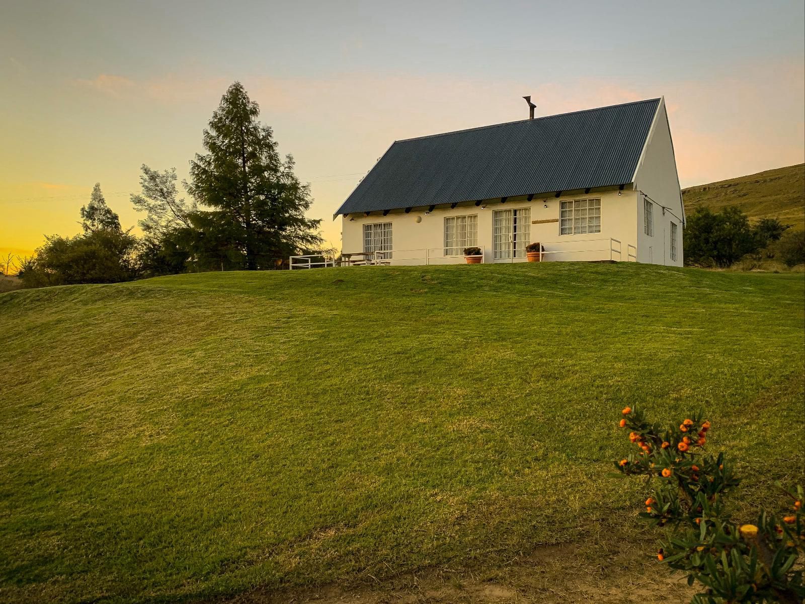 Woodcliffe Country House Maclear Eastern Cape South Africa Barn, Building, Architecture, Agriculture, Wood