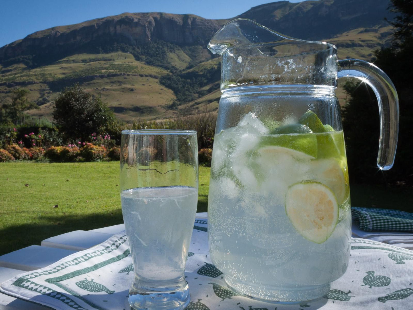 Woodcliffe Country House Maclear Eastern Cape South Africa Drink, Glass, Drinking Accessoire, Food