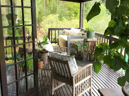 Woodcutters Forest Cottages Rheenendal Knysna Western Cape South Africa Plant, Nature, Garden