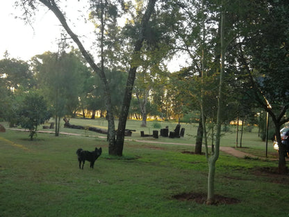 Woodland Gardens Magaliesburg Gauteng South Africa Dog, Mammal, Animal, Pet, Grave, Architecture, Religion, Tree, Plant, Nature, Wood, Cemetery