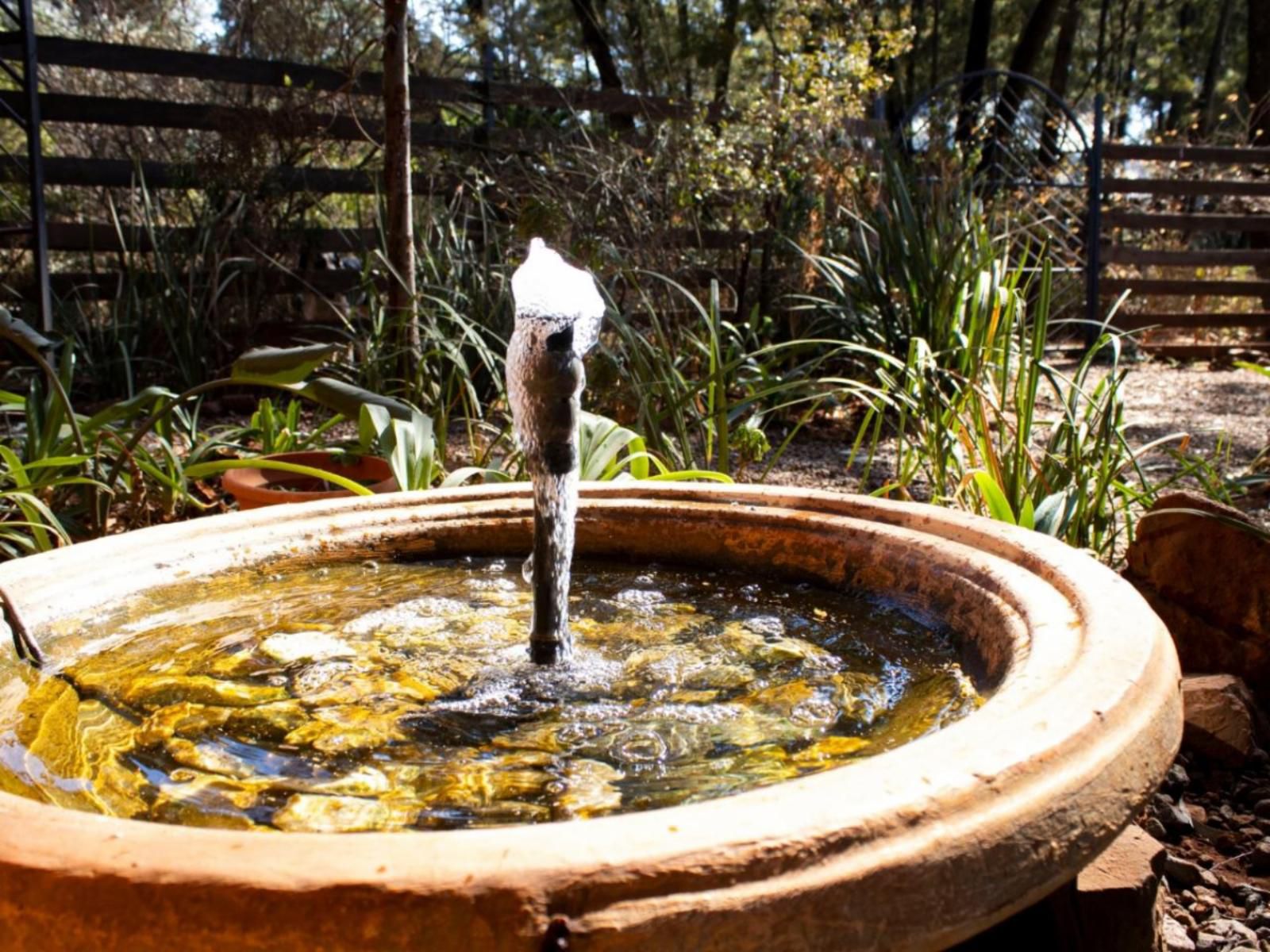 Woodland Gardens Magaliesburg Gauteng South Africa Fountain, Architecture, Garden, Nature, Plant