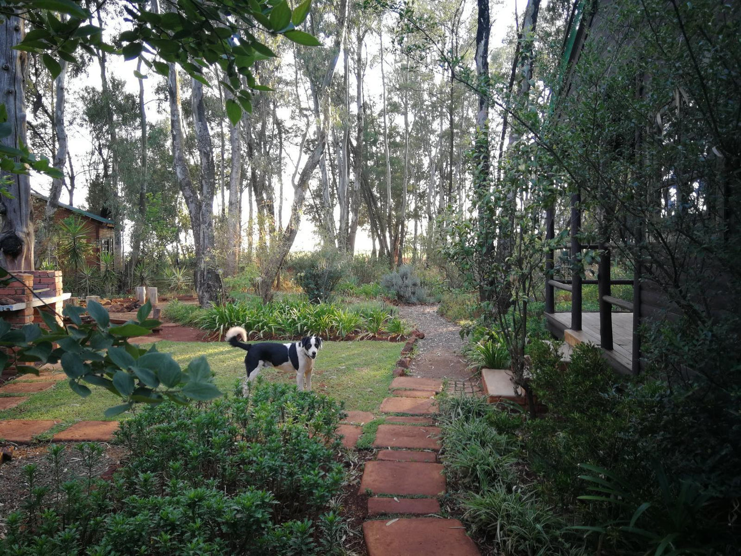 Hornbill garden cottage @ Woodland Gardens