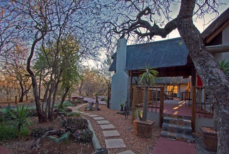 Woodlands Bush Lodge Hoedspruit Limpopo Province South Africa 