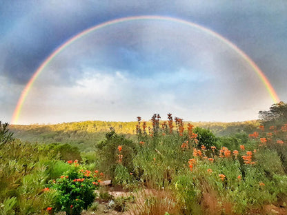 Woodlands Self Catering Rheenendal Knysna Western Cape South Africa Complementary Colors, Rainbow, Nature, Garden, Plant