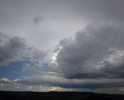 Woodridge Forest 11 Balgowan Kwazulu Natal South Africa Unsaturated, Sky, Nature, Clouds, Rain