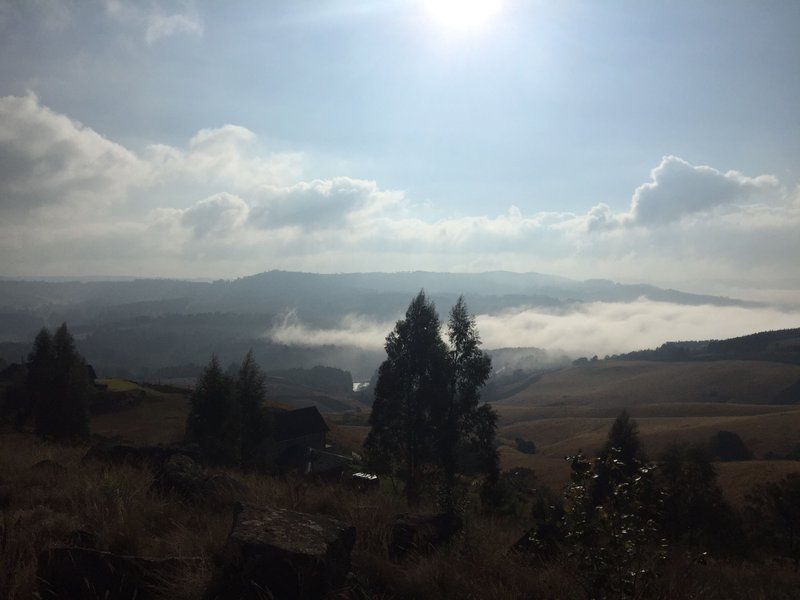 Woodridge Forest 11 Balgowan Kwazulu Natal South Africa Fog, Nature, Mountain, Sky, Tree, Plant, Wood, Clouds, Highland