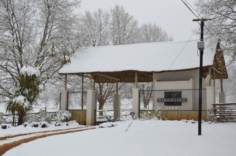 Woodridge Forest 11 Balgowan Kwazulu Natal South Africa Unsaturated, Barn, Building, Architecture, Agriculture, Wood, Snow, Nature, Winter, Winter Landscape