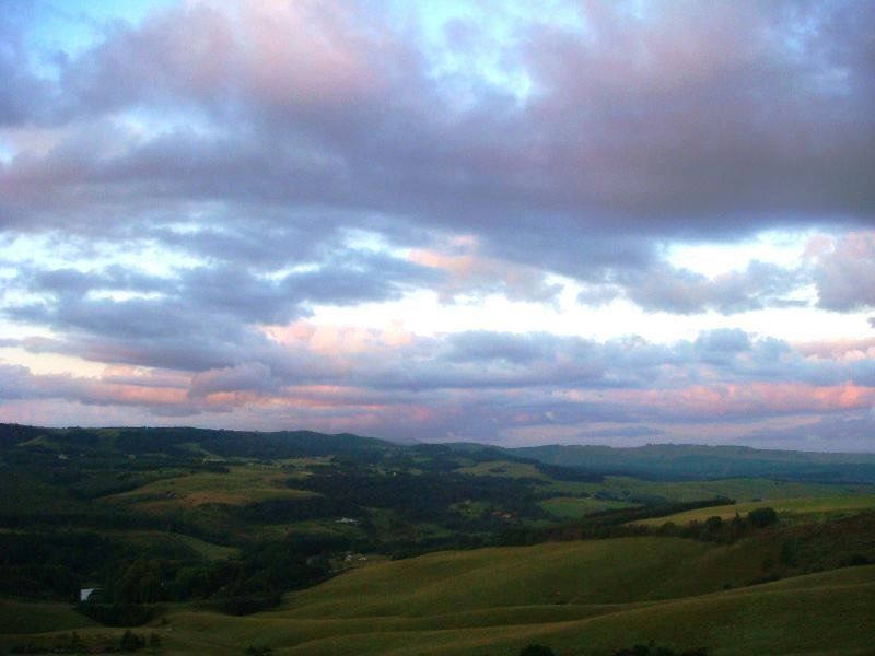 Woodridge Forest 11 Balgowan Kwazulu Natal South Africa Field, Nature, Agriculture, Sky, Tree, Plant, Wood, Clouds, Highland, Sunset