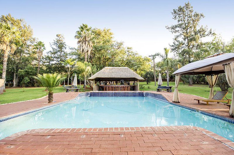 Woodridge Palms Boutique Hotel Swartruggens North West Province South Africa Complementary Colors, Palm Tree, Plant, Nature, Wood, Garden, Swimming Pool