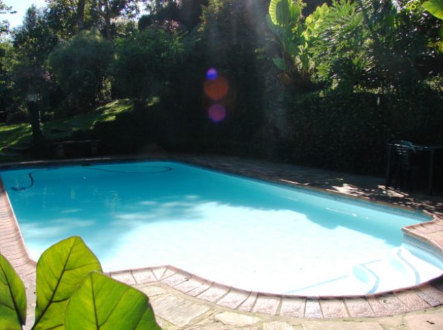 Woodridge Place Cowies Hill Durban Kwazulu Natal South Africa Garden, Nature, Plant, Swimming Pool