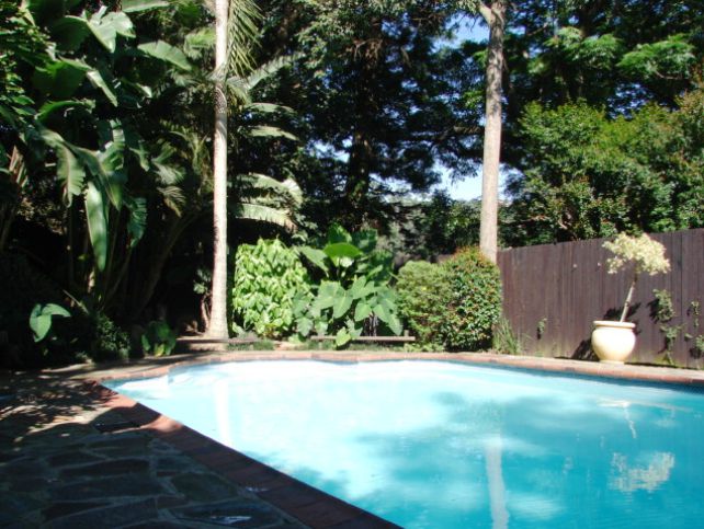 Woodridge Place Cowies Hill Durban Kwazulu Natal South Africa Palm Tree, Plant, Nature, Wood, Garden, Swimming Pool