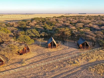 Woodside Game Lodge Mahikeng North West Province South Africa Lowland, Nature